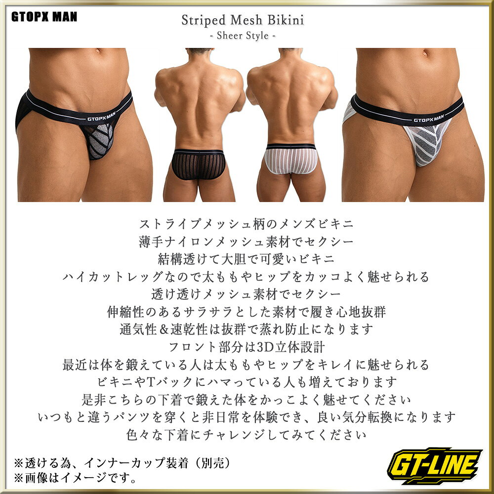 ストライプ メッシュ 透ける メンズビキニ ナイロン シアー 薄手 軽量 メンズ 男性...