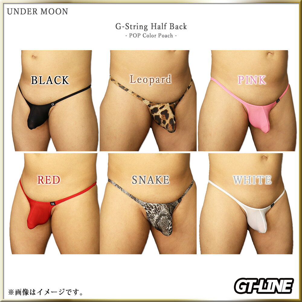 メンズ ハーフバック ビキニ Gストリング フ...の紹介画像3