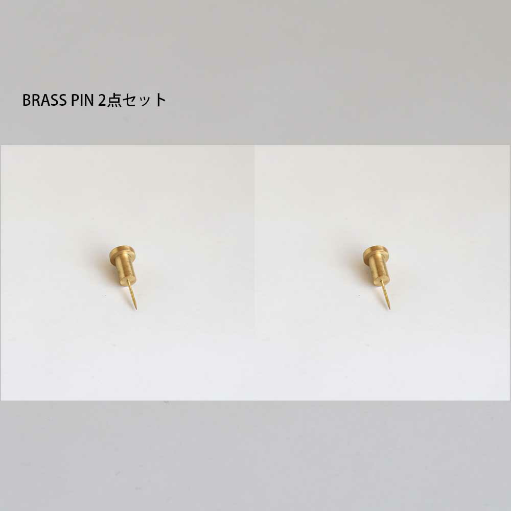 真鍮 ピン BRASS ウォール ピン フック 2本セット