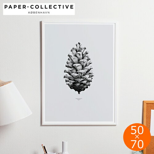 ポスター 北欧 50×70 cm インテリア デンマーク アートポスター Paper Collective PINE CONE パインコーン 松ぼっくり モノトーン おしゃれ