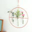  ޤ 饹 ե١  ɳݤ ߷ 磻䡼ե졼  饹塼 ١  Wall Vase Circle Glass tube