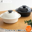 野田琺瑯 鍋 ココナベ 個々鍋 大 2個セット 21cm 蓋付き ここなべ 琺瑯鍋 ホーロー鍋 万能鍋 直火対応 ガス火対応 IH対応 1〜2人用 日本製
