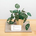 ペーパークラフトキット モンステラ アダンソニー ミニチュアキット 紙製 大人 植物 紙風景 Jeantopia ジントピア Monstera Adansoni...
