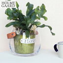 【期間限定ポイント10倍】 ホルムガード フラワーベース 花瓶 おしゃれ ポット クリア ガラス 丸 H12cm 花器 ガラスポット ボウル レザーハンドル 革 北欧 Design With Light HOLMEGAARD