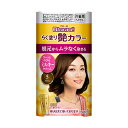 【まとめ買いがお得!】花王ブローネ らく塗り艶カラー 5 ブラウン 24セットKao Blaune 4901301299017