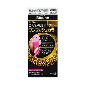 【まとめ買いがお得！】花王 ブローネ ワンプッシュカラー 3 明るいライトブラウン 24セットKao Blaune 4901301320919