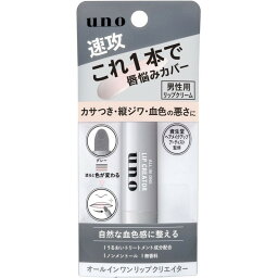 【まとめ買いケース買いがお得！】ファイントゥデイ ウーノ オールインワン リップクリエイター リップクリーム 2.2g×36個 uno lip cream