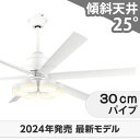 【全品3年保証】 シーリングファン シーリングファンライト OLB216 照明 ファン LED DC 国産 天井照明 照明器具 吹き抜け/傾斜・勾配天井(ロフト...