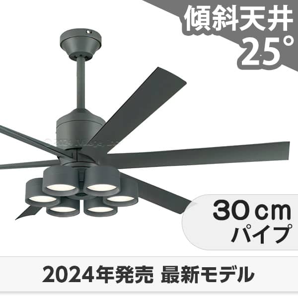 ¨ȯ Ĺݾ 鿧LED [R15]  LED 6 뤤10 Ĵ DC⡼  ŷ ǥå...