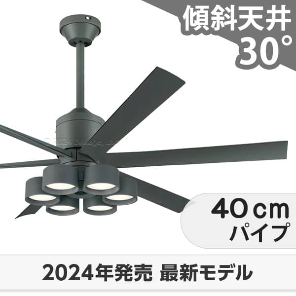 ¨ȯ Ĺݾ 鿧LED [R15]  LED 6 뤤10 Ĵ DC⡼  ŷ ǥå...
