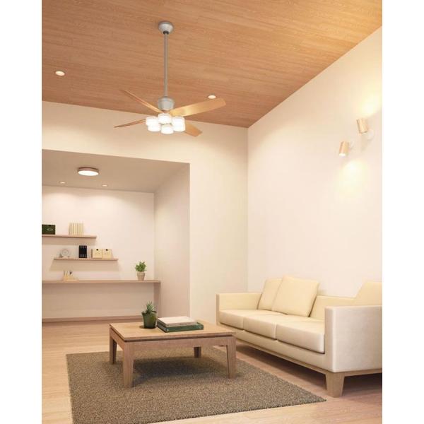 ������3ǯ�ݾڡ� ������󥰥ե��� OCF256 ����̵�� �ե��� DC �� ����ŷ�� ���� ŷ�� �������� ��⥳���դ� ����ƥꥢ���ȶ񡦼�Ǽ ����� ������� �������� ����С� DC �⡼����