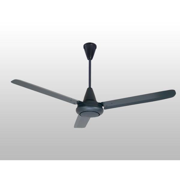 【全品3年保証】 シーリングファン EAC016 照明無し ファン AC 吹き抜け／傾斜・勾...
