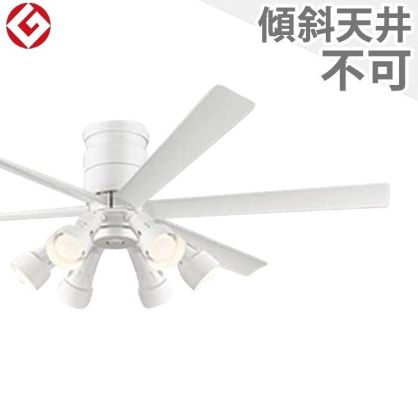 ������3ǯ�ݾڡ� ������󥰥ե��󡦥饤�� OLB204 ���� �ե��� LED DC �� ŷ����� ������� ����ŷ�� ŷ�� �������� ��⥳���դ� ����ƥ�...