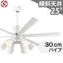 【全品3年保証】 シーリングファン シーリングファンライト OLB218 照明 ファン LED DC 国産 天井照明 照明器具 吹き抜け/傾斜・勾配天井(ロフト...
