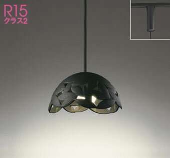 [レール取付 調光・非調色 電球色] ブラック 南部鉄器 | オーデリック製ペンダントライト