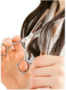 ���꡼��٥롡���ε������ƥ�쥹�������Ϥ��ߡ�G-5021����783521��202005