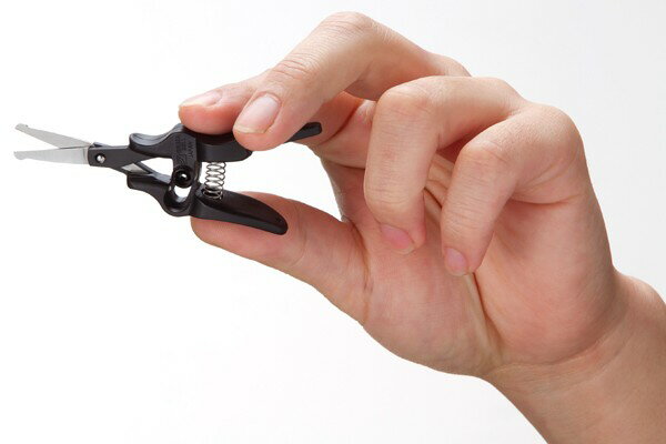 ���꡼��٥롡ɡ�ӥ��å������Хͼ���GT-311