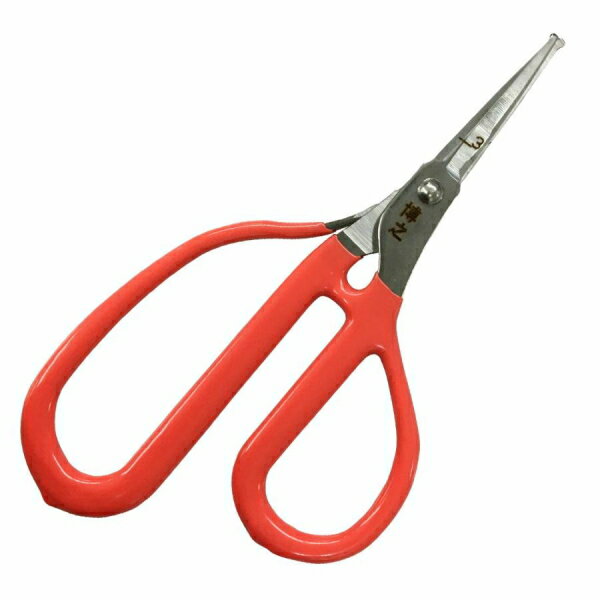 ��Ƿ��Хͷ��� ���ƥ�֤ɤ�����ľ�� 150mm����hana229120��202403