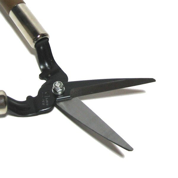 �ɥ�����Shozo���ߥ˼�����L����DS001����250496��202106