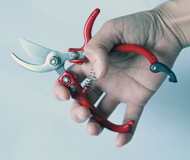 OWL ����������Ϥ��ߡ�#555