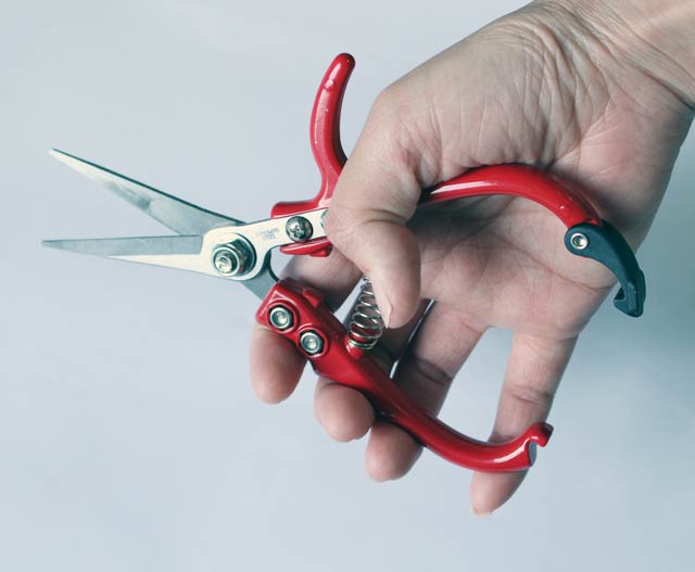 OWL �����ʲ��ڤϤ��ߡ�#556