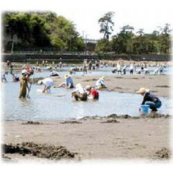 ��������ǽ���ޥǡ�28038��5���ޥ�����