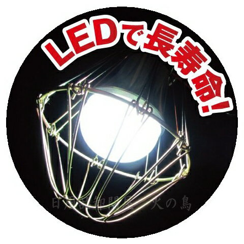 LED����åץ���6W��WT-600