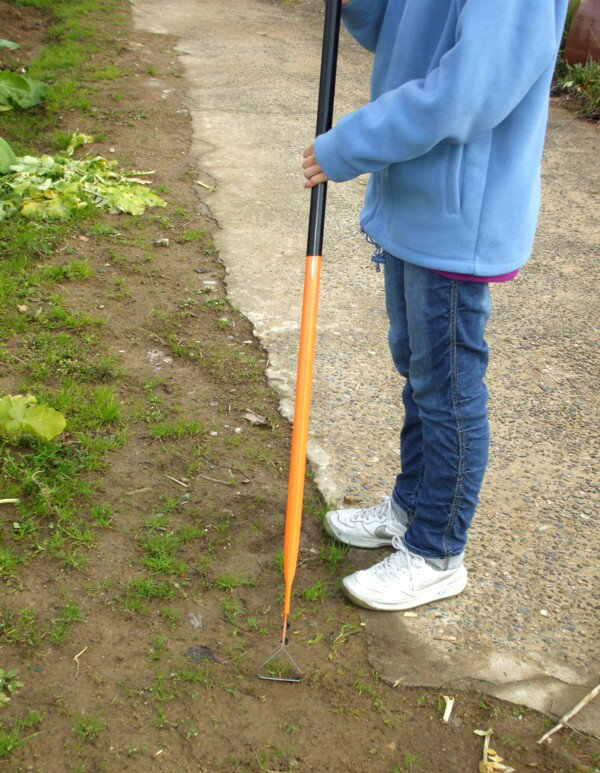 �ԥ�ݥ���Ƚ��������ǥ�ץ�����ࡡ�ؤ��ϼ���No.142-2