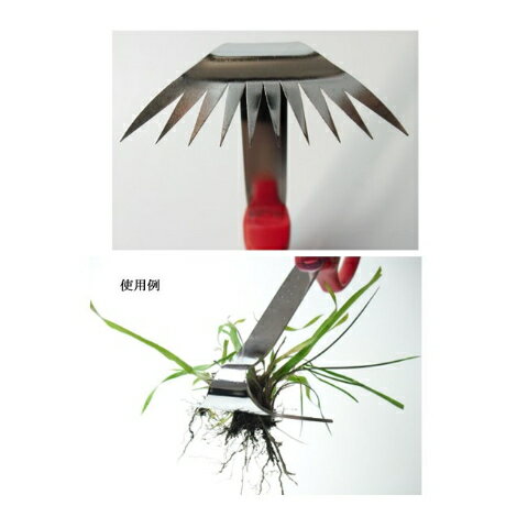 ���֥�󡡥����ѡ�����ťᡡ��Ĺ260mm��#35105