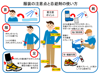 �����ꡡ��ޥӥ�ե�������������50ml