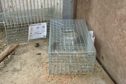 ��̳�ѡ��ͤ�����ʹ�