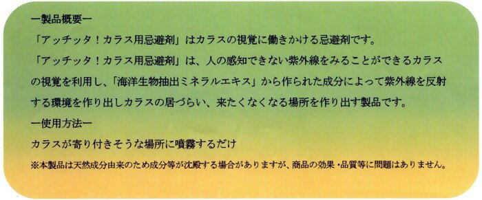 ���å��å��� ���饹�Ѵ���� ���ץ졼�����ס�270ml������������531070��202401������