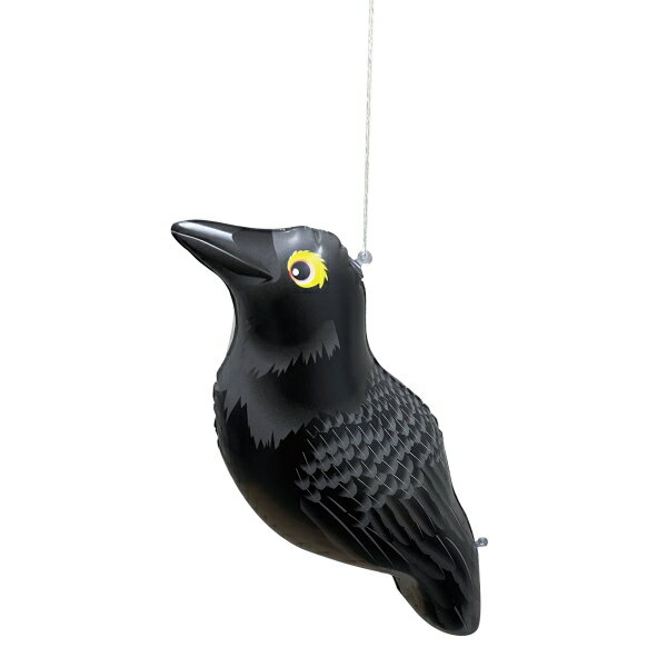 ζ���ݡ�Ļ�ɤ����饹��K-904����531087��202404