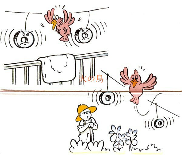 Ķ���ϡ�Ļ�ɤ����С�2�ĥ��åȡ�MTB-0082����531110����201909