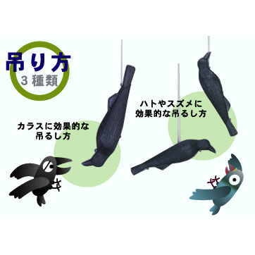 �ߥĥ����󡡥��塞�饹��EG-18����Ļ�ɤ�����¤���饹��