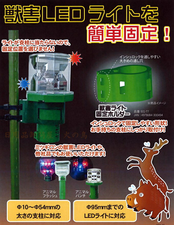 �ߥĥ����󡡽ó��饤�ȸ���ۥ������EG-77�������줪��ӡ���«�Х�ɡ��ó��饤�Ȥ�����Ǥ���