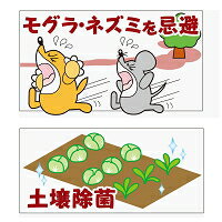 もぐらキライダー！　強力タイプ　10個入　#3589