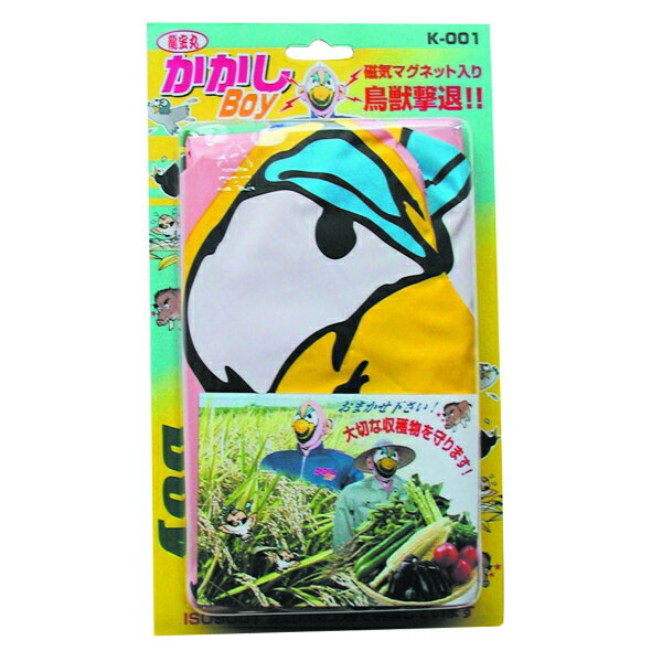 ζ���ݡ�������BOY��K-001����202007��