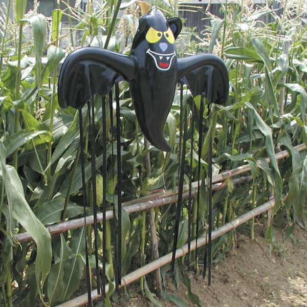 ζ���ݡ�Ļ�ɤ�������꤯��K-003����202007��