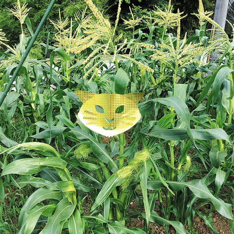 ζ���ݡ���Ļ���ɽå��饭��Хꥢ�����ȡ�K-006��ǭ����åȡ�3����