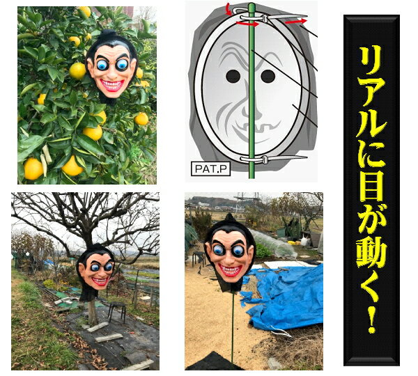 ζ���ݡ�Ļ�åͥ����ࡡ�����Ρ�K-031����201802���ڡۡ������դ��Ѥλ����Х�ɤ���°���ޤ���