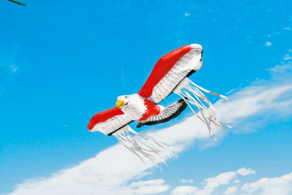 ζ���ݡ�Ļ�ɤ�˽���˷������K-901����201912�ڡ����Ȥ�����Ǥ���