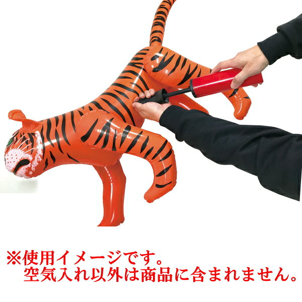 ζ���ݡ�2��®���������졡K-902����202009��