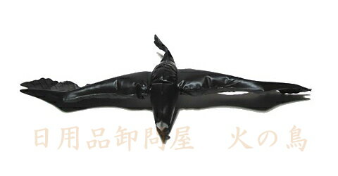 �ϥʥ������������饹�ʾ���PCA-6S����531066