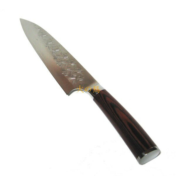 Echizen High-Carbon Steel 210mm Gyuto (Chef's Knife) | Japanese Kitchen Knife