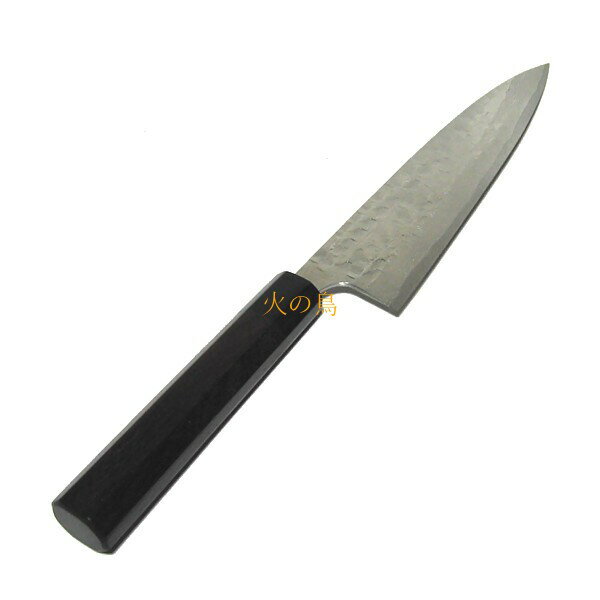Echizen High-Carbon Steel 210mm Gyuto (Chef's Knife) | Japanese Kitchen Knife