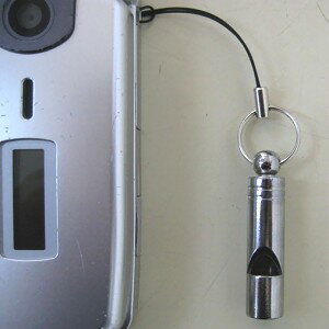 �ǥ������۵ޥۥ��å����2���ȡ�