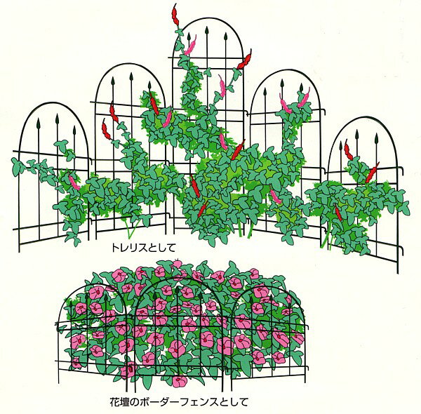 アイデア次第で使い方いろいろ！ 耐久性も十分な日本製のガーデンフェンスです。 トレリスフェンス　CLASIIC　Mサイズ　2個セット 【商品説明】 トレリスフェンスはあなたのアイディア次第でいろんな使い方ができます。連結しても単独でも地中に差し込むだけで簡単に設置できます。あなたの花壇や菜園を今まで以上に楽しくしてみませんか。 【特徴】 ● サビに強い2重焼付塗装仕上げで、下塗りの塗装は産業機械・農業機械、プレハブ鉄骨等様々な分野に利用されているカチオン電着塗装。 上塗りの表面塗装はサビに強く高級感のあるハンマートン粉体塗装となっております。 ● 日本で厳重な品質管理のもとで製造しておりますので長期の使用に十分耐えられる商品です。 ● お庭を優雅に飾るトレリスの他、花壇のボーダーフェンスとして、プランター用のトレリスとして、野菜栽培のゲージとして等、幅広くいろいろな使い方ができます。 【規格】 ■本体サイズ ： （約）幅 380×高さ 1000mm ■脚長 ： 約 275mm ■埋込部 ： 約 225mm ■重量 ： 約 1185g ■日本製 【品質表示】 本体 スチールワイヤー 下塗り カチオン電着塗装 上塗り ハンマートン粉体塗装 【別サイズ（別売）】 トレリスフェンス　クラシックS　2個セット トレリスフェンス　クラシックL　2個セット 【専用スタンド（別売）】 トレリスフェンス専用スタンド 2個組 No.198 【関連商品（別売）】 2Wワイヤーフェンス　1台入　No.183 2Wワイヤーフェンス　2台入　No.184 ハーフトレリス140 ワンタッチ伸縮簡易フェンス