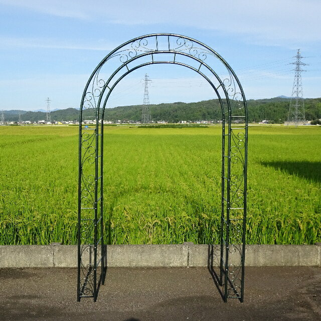 【送料無料】（沖縄県を除く）グリーンガーデン　バラのアーチ「グランデ」フラワーアーチ　No.285　　202112 3