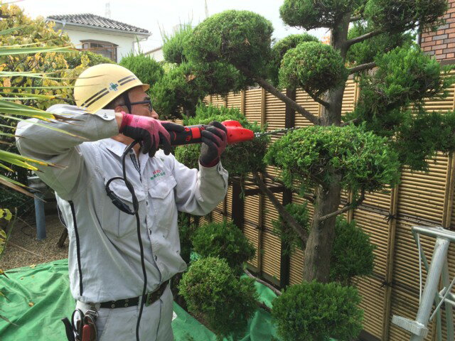 ������̵���ۡʲ��츩������˥��륹���ϥ��ѥ¤��Хꥫ�󥫥를����ѥ��ȡ�DKC-0025T-R